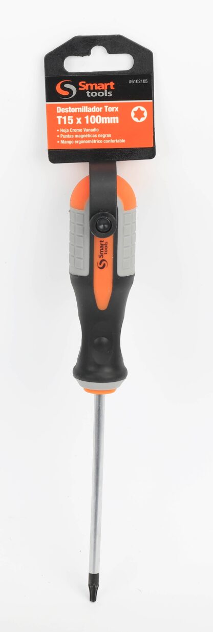 DESTORNILL.TORX T15 X100 MM